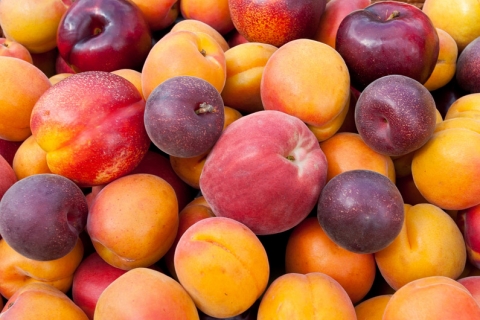 Fruits & légumes frais